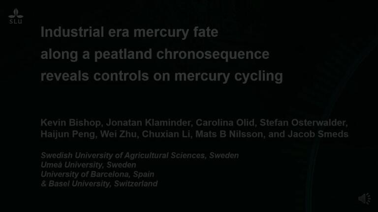 Industrial era mercury fate along a peatland chronosequence reveals controls on mercury accumulation